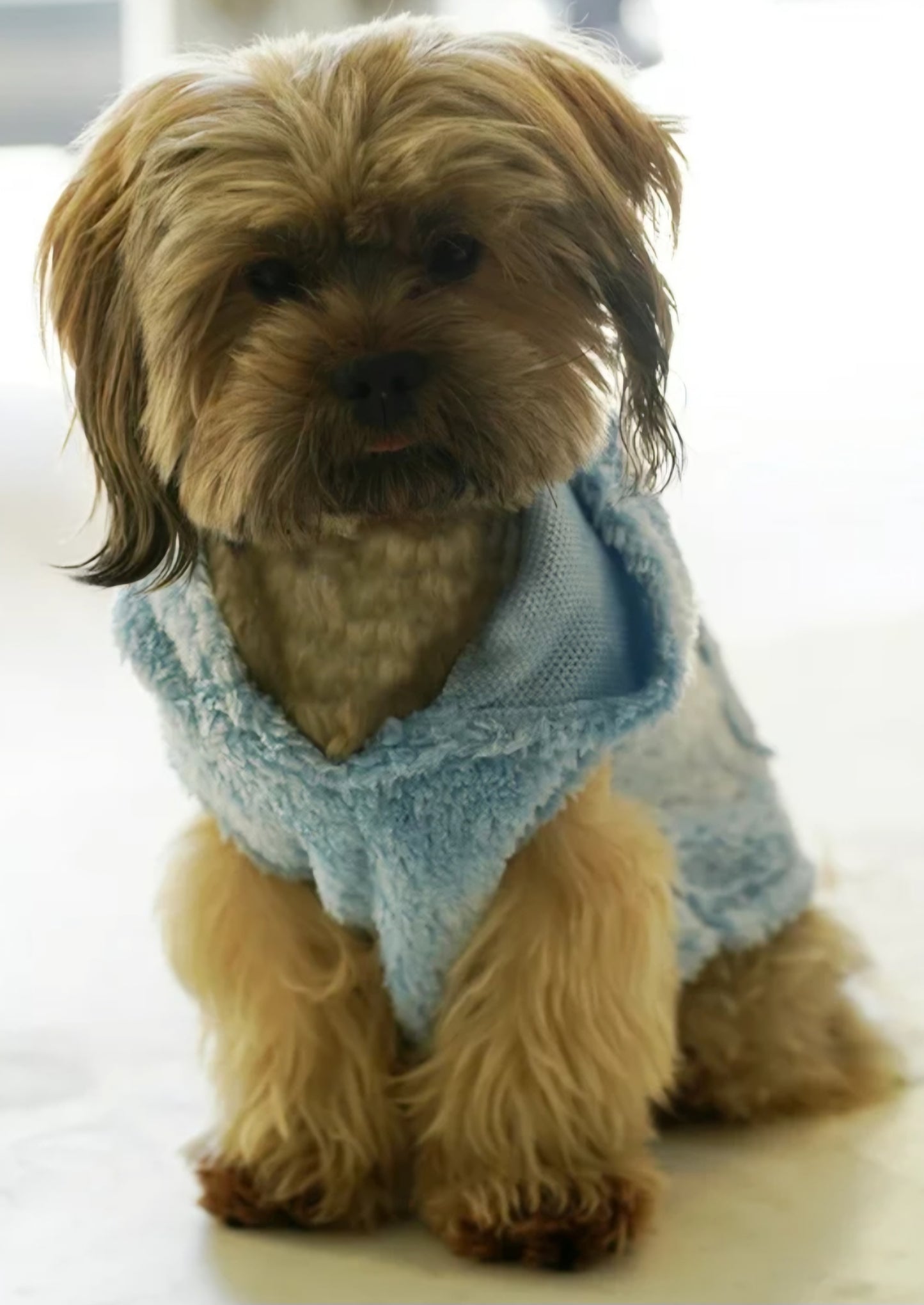 Blue Pet Fur Vest